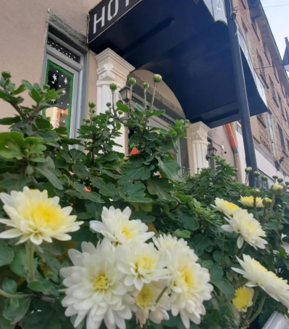 Hotel Alysa Korce