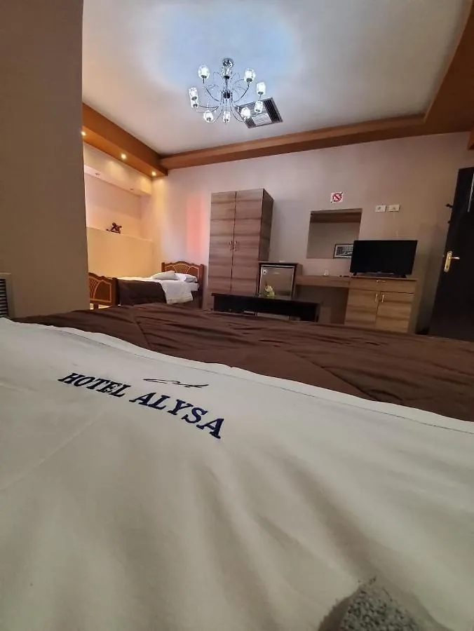 Hotel Alysa Κορυτσά 4*,