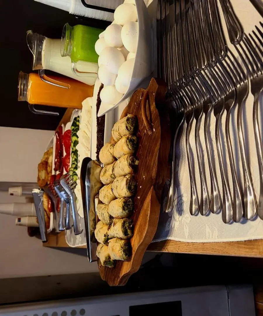 Hotel Alysa Κορυτσά 4*,  Αλβανία